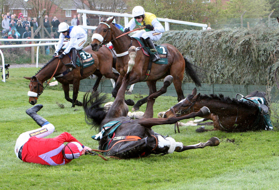 1251601-img-sport-dostihy-velka-narodni-jacob-collonges-synchronized-v0